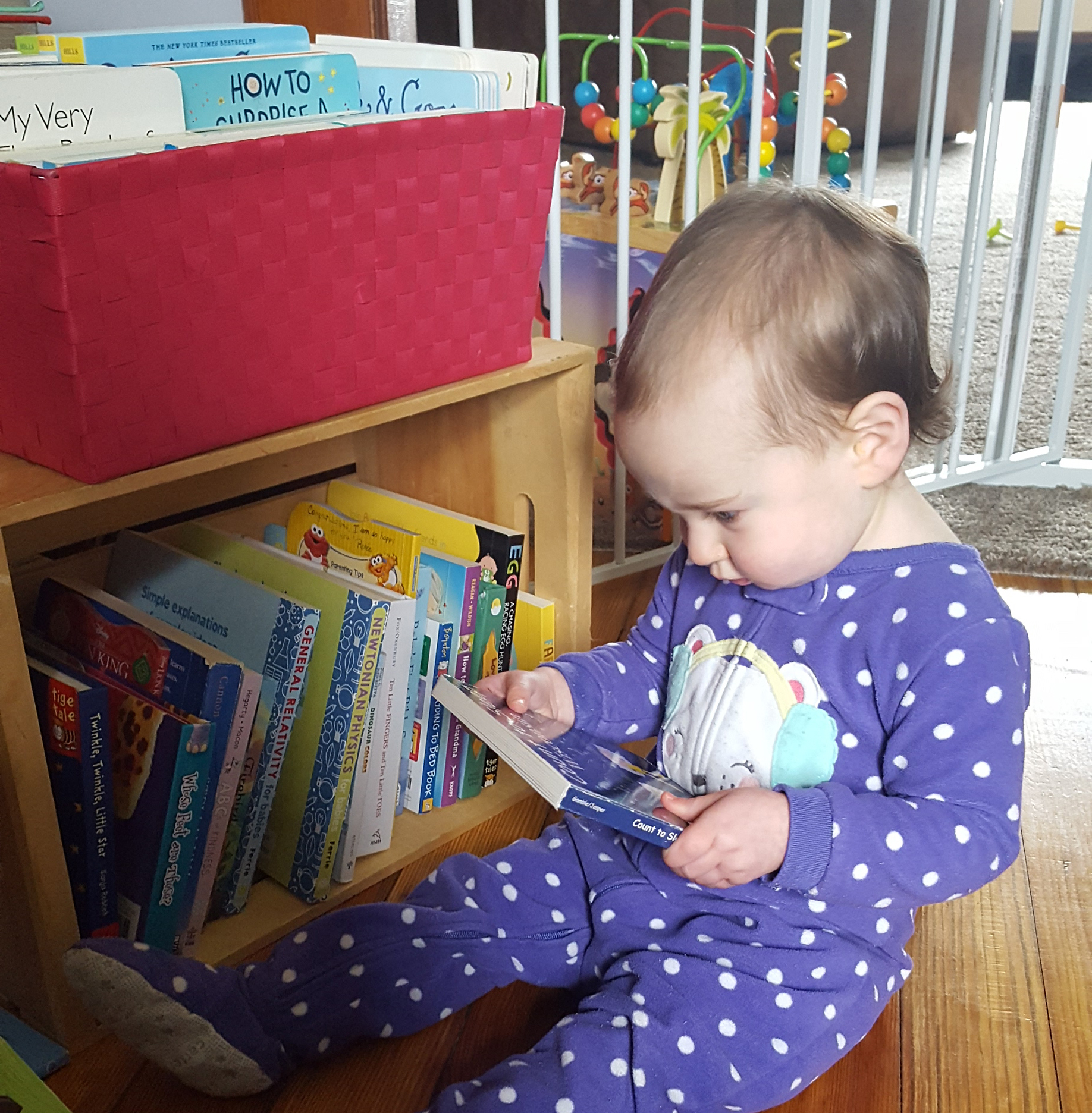 Baby in purple polka dot pajamas reading board books
