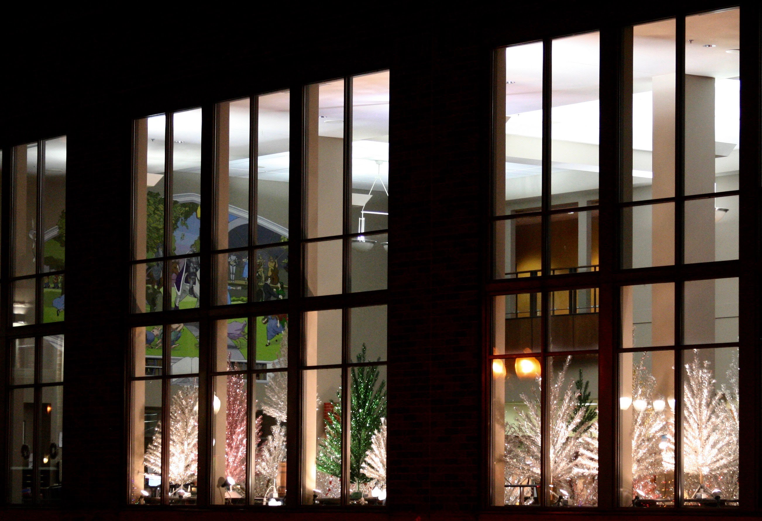 Evergleam trees through library window