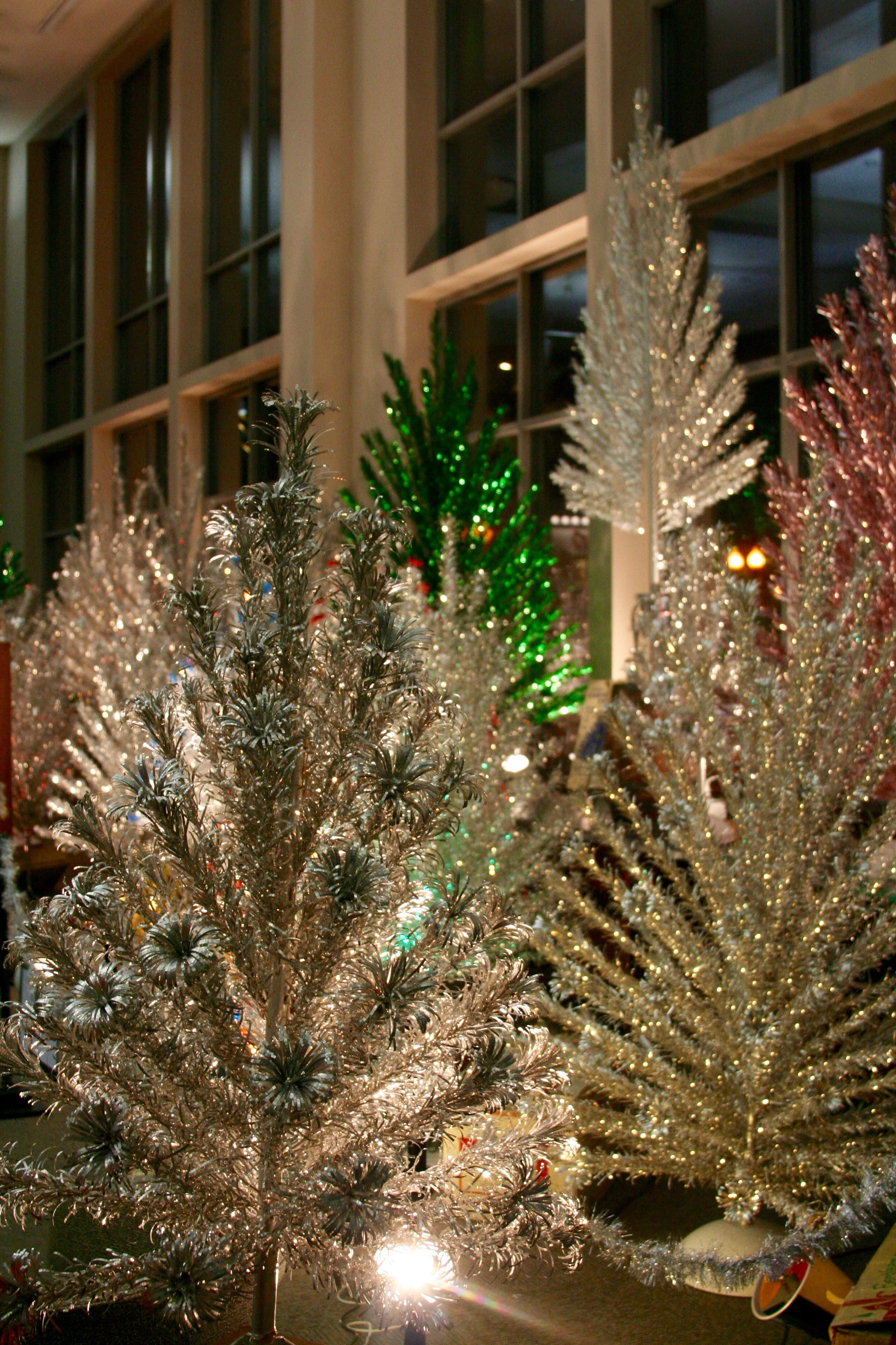 Closeup of Evergleam tree display