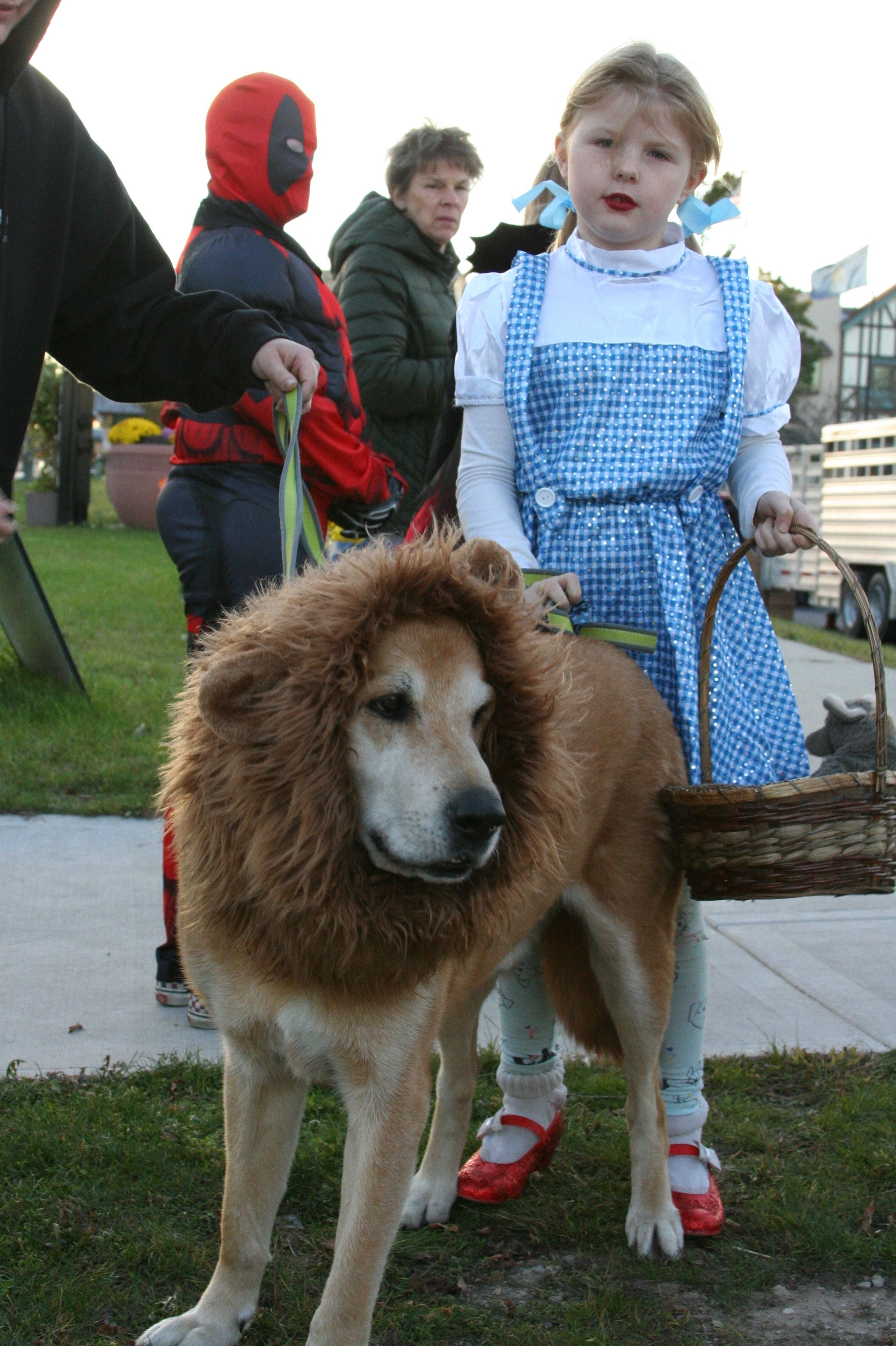 Child and dog dressed as Dorothy and the cowardly lion