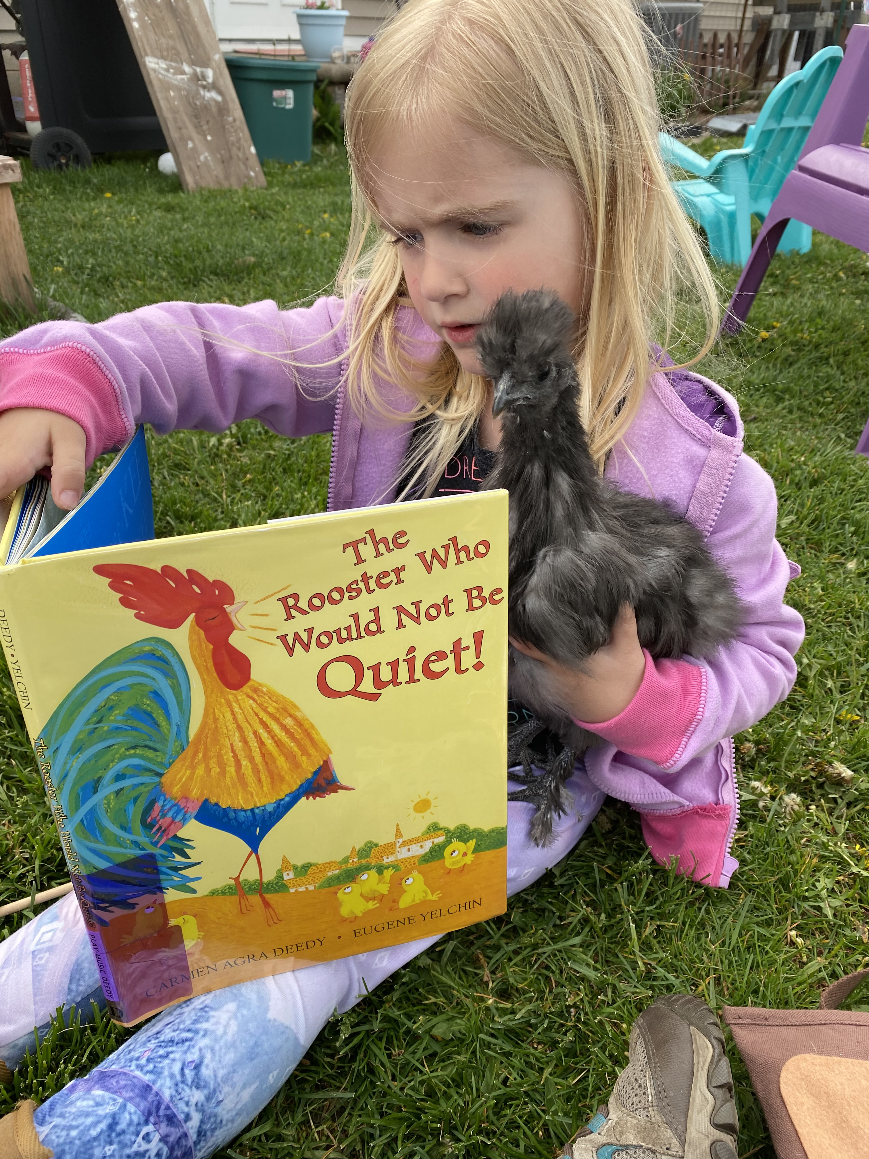Child reading "The Rooster Who Would Not Be Quiet" to a chicken