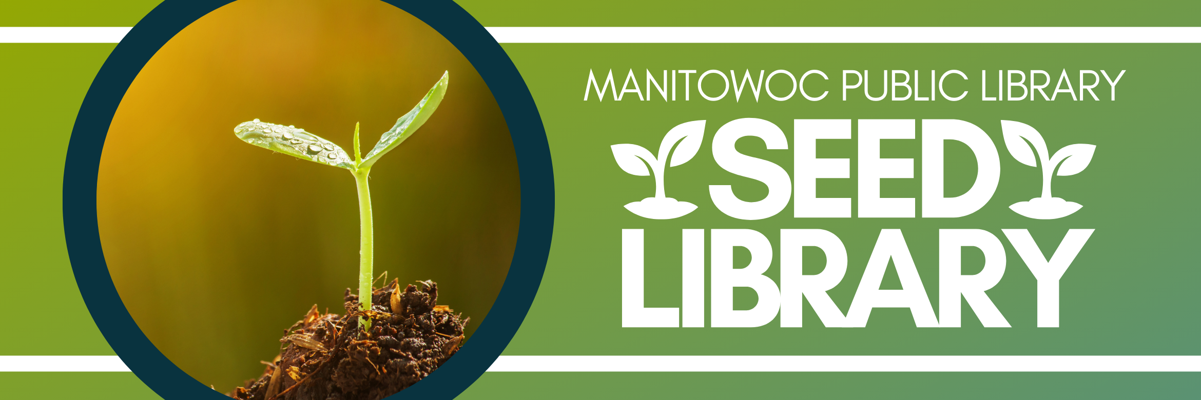 Seed Library Web Banner