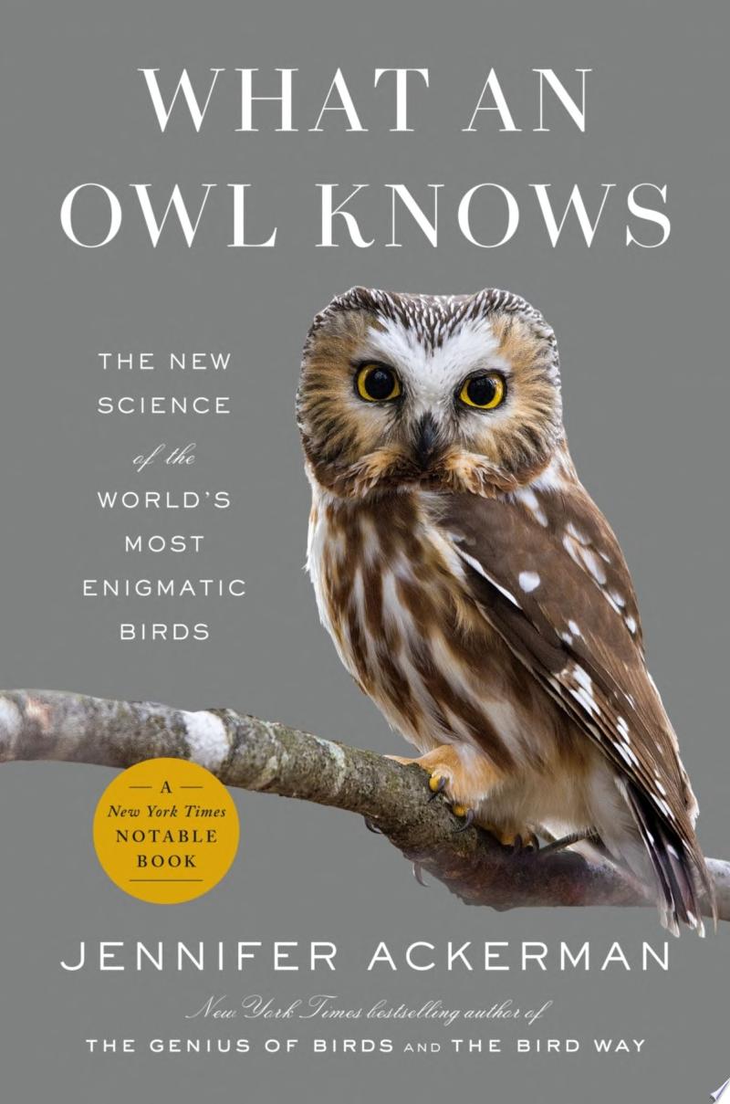 Image for "What an Owl Knows"