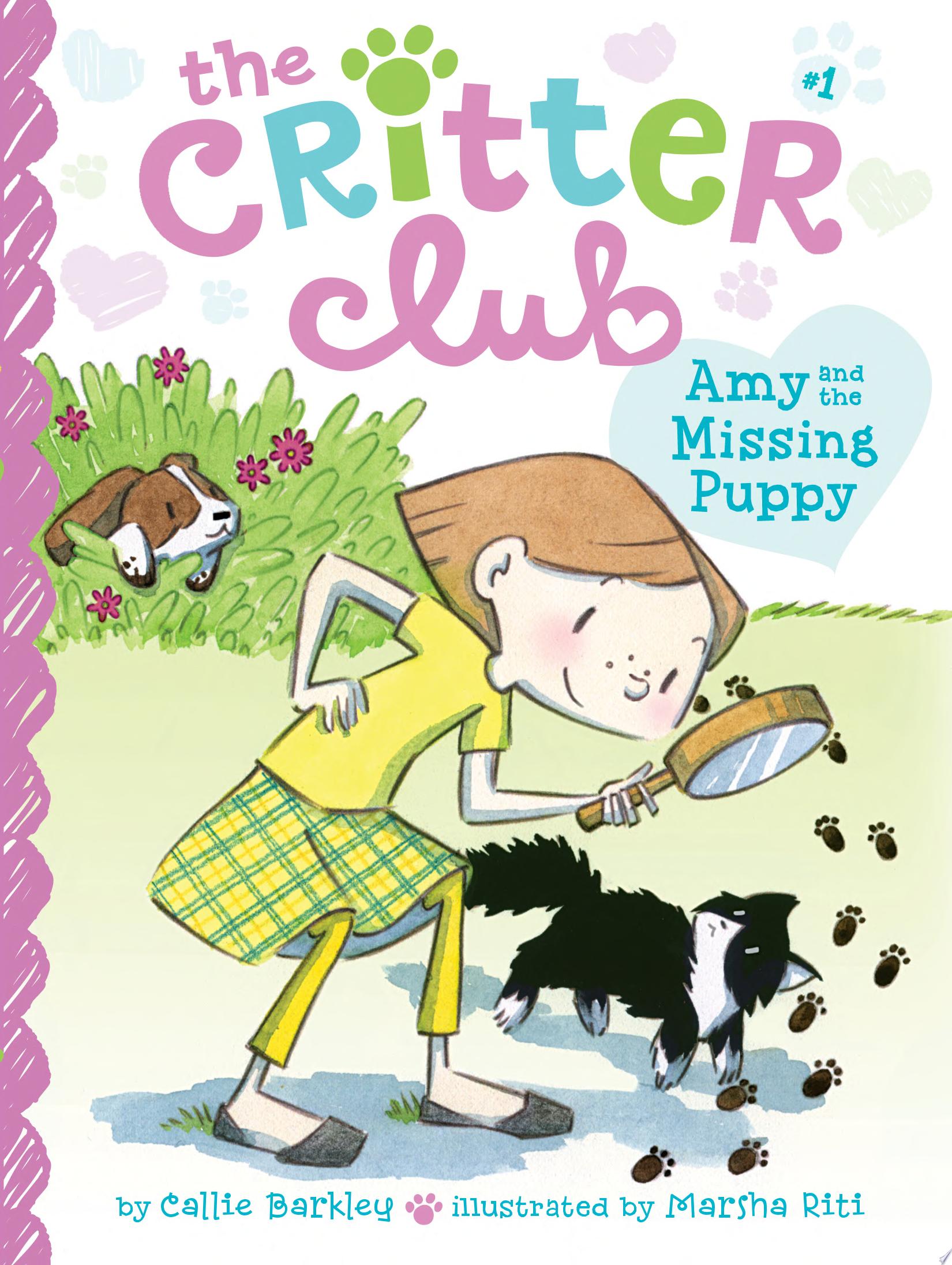 Image for "Amy and the Missing Puppy"