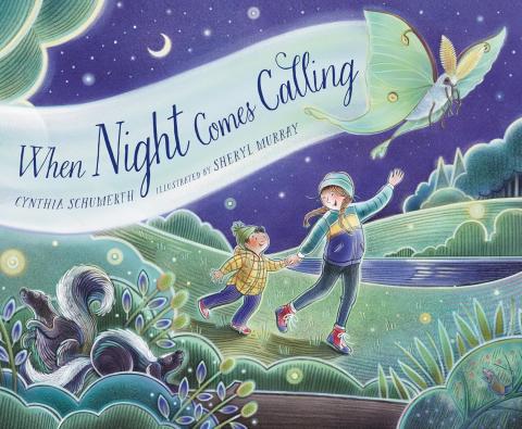 When Night Comes Calling by Cynthia Schumerth