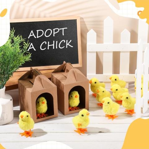 Photo of toy chicks