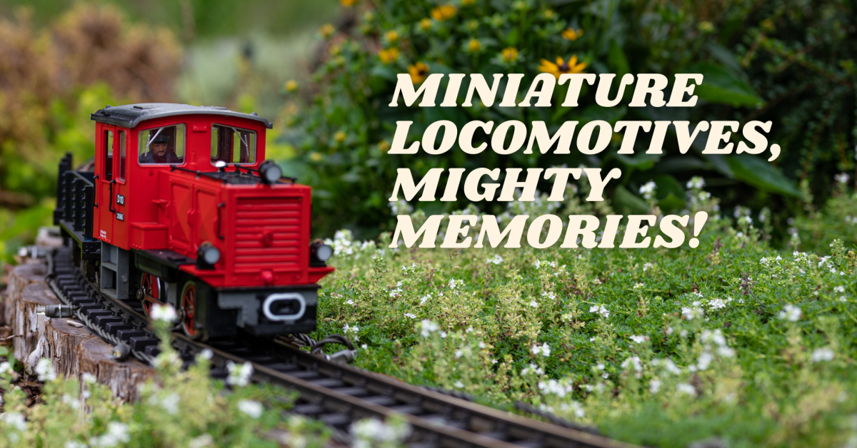 Mini Trains
