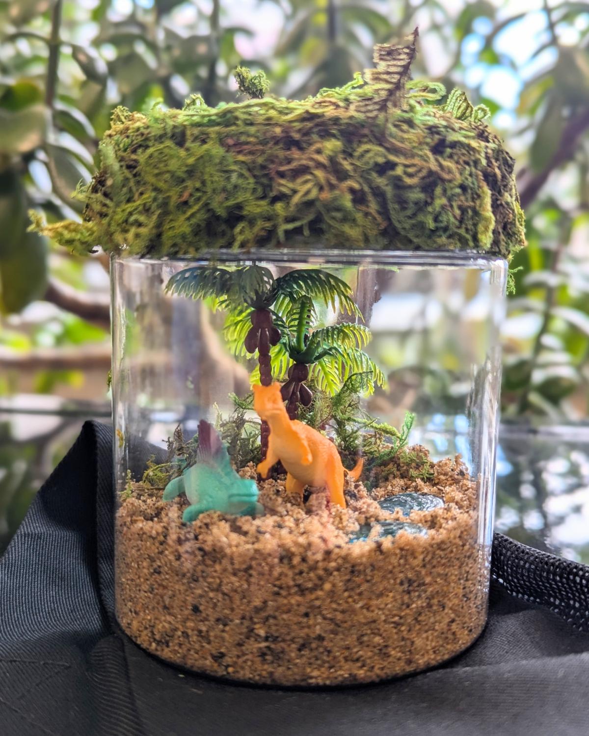 Dinosaur Terrarium