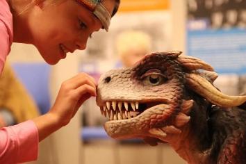 Dragon Masters Academy