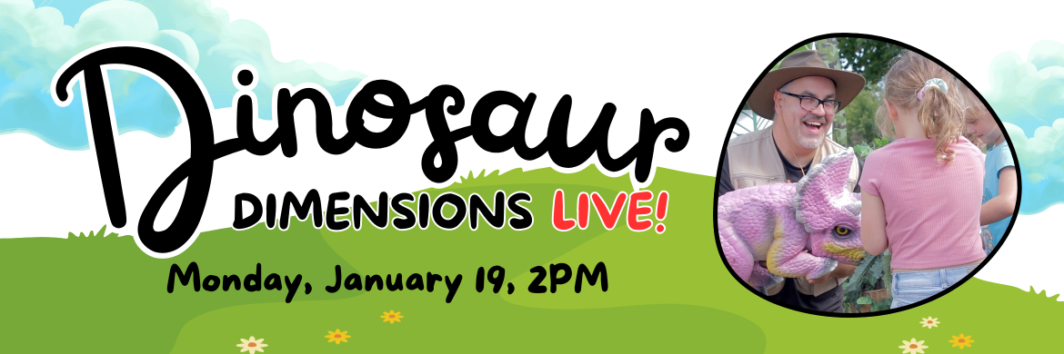 Dinosaur Dimensions Live!